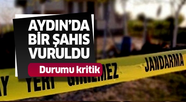 Aydın'da bir kişi vuruldu
