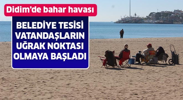 Doğuda kara kış Didim'de bahar