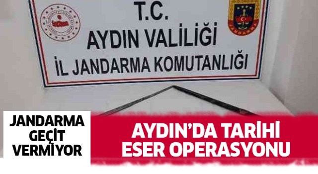 Aydın'da tarihi eser operasyonu