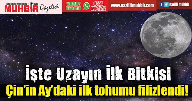 İşte Uzayın İlk Bitkisi