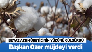 Beyaz Altın, üreticisini sevindirdi