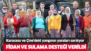 Karacasu ve Çine'deki orman yangınlarının yaraları sarılıyor