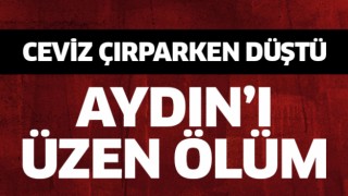 Aydın'ı üzen ölüm!