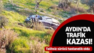 Aydın'da araç uçuruma yuvarlandı:1 yaralı